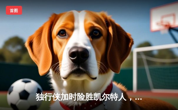 独行侠加时险胜凯尔特人，东契奇三双主宰天王山之战